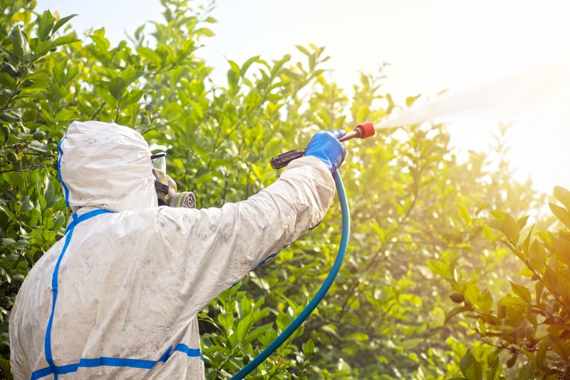 Spider Fumigation Service in Toledo, OH