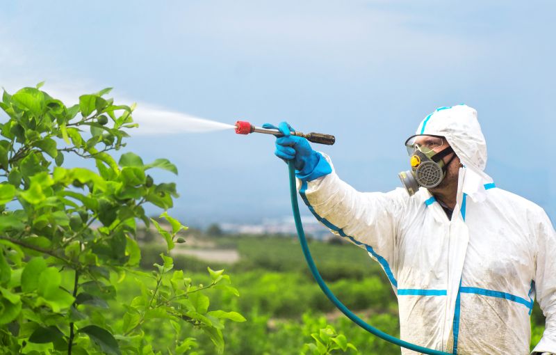 Spider Fumigation Service in Fredericksburg, VA