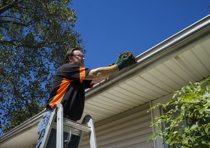 Removing Nests from Eaves