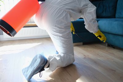 Fumigation Service in Franklin, TN